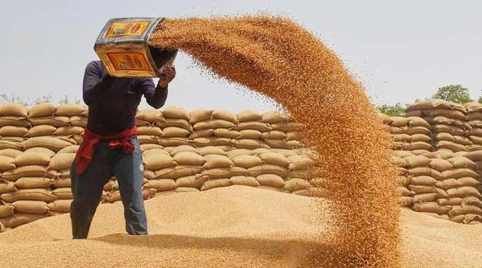 ای سی سی نے خیبرپختونخوا کو 50 ہزار میٹرک ٹن اضافی گندم فراہم کرنے کی منظوری دیدی