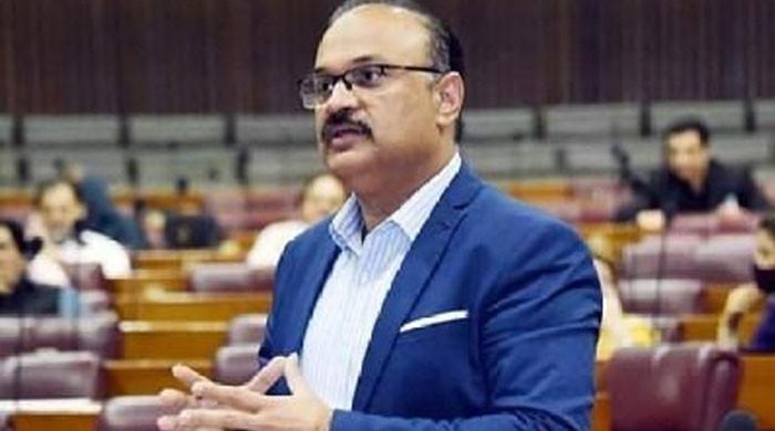 بانی پی ٹی آئی ہوتے تو اسرائیل اور امریکا کو ایران پر حملےکی ہمت نہ ہوتی، عامر ڈوگر