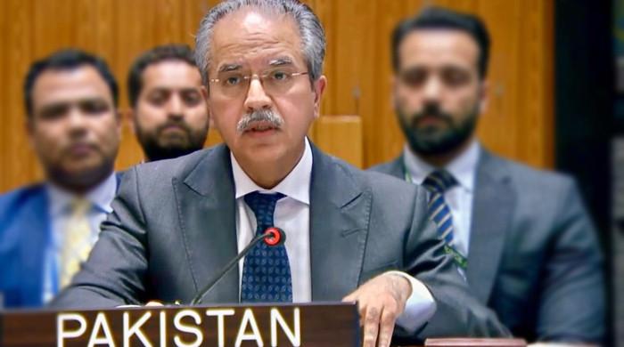 اسرائیل کا ای ون منصوبہ فلسطینی ریاست کے جغرافیائی تسلسل کیلئے سنگین خطرہ ہے: پاکستان