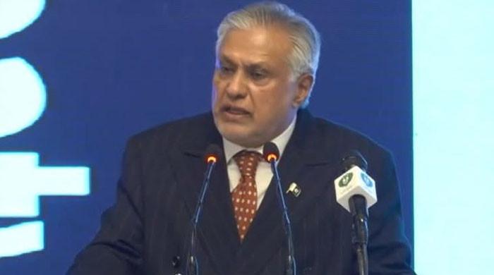 بھارت جنگ کے بیج بونے سےگریز کرے، کسی بین الاقوامی معاہدے کو سبوتاژ کرنےکی قیمت بہت بھاری ہوسکتی ہے: اسحاق ڈار نے خبردار کردیا