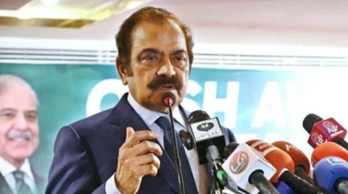 غیرملکی خواتین کے مبینہ اغوا و زیادتی معاملے کو کھینچ کراسحاق ڈار کی طرف لانے کی کوشش کی جارہی ہے: رانا ثنا