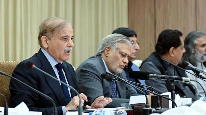 وفاقی کابینہ میں ردو بدل اور نوجوان و نئے چہروں کی شمولیت کا امکان، وزیراعظم نے قریبی رفقاء سے مشاورت مکمل کرلی