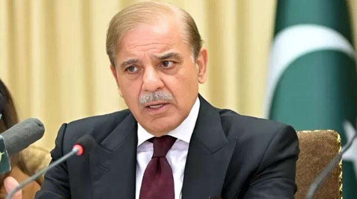 وزیراعظم نے پیٹرولیم مصنوعات کی مصنوعی قلت پیدا کرنے والوں کیخلاف سخت کارروائی کی ہدایت کردی