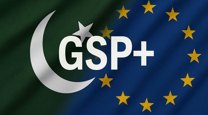 یورپی کمیشن نے پاکستان کو جی ایس پی پلس اسکیم سے سب سے بڑا مستفید ملک قرار دے دیا