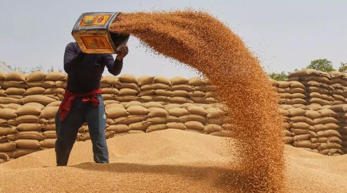  وفاقی حکومت کا فوری طورپر  10لاکھ ٹن گندم درآمد کرنےکافیصلہ
