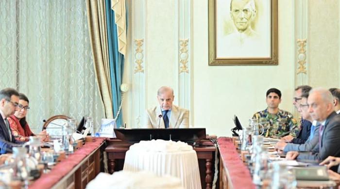 وزیراعظم کی ڈسکوز کی نجکاری میں سرمایہ کاروں کی شمولیت کیلئے مؤثر حکمتِ عملی اختیار کرنے کی ہدایت
