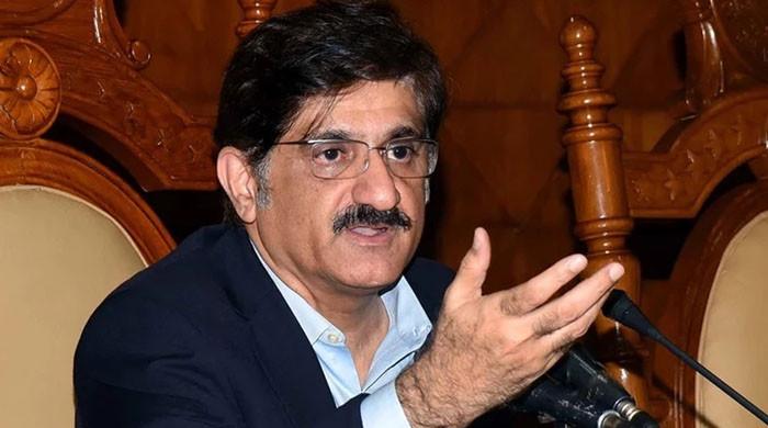 سندھ اسمبلی کئی قراردادیں منظور کرچکی، مزید صوبے نہیں بن سکتے: وزیراعلیٰ مراد علی شاہ