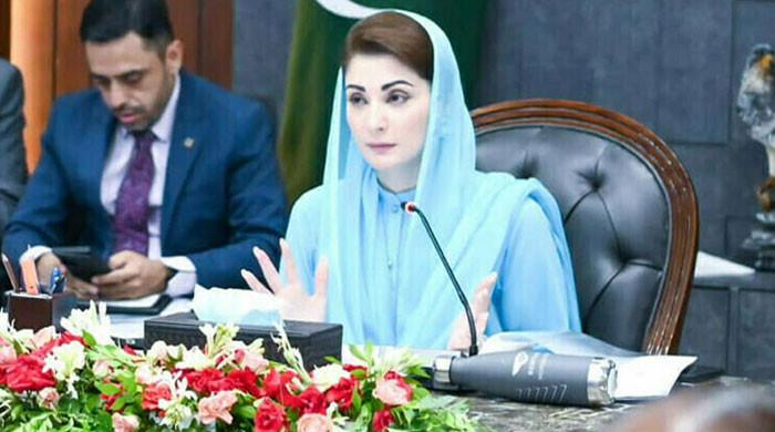 تین بڑی معاشی، عسکری و سیاسی طاقتوں کا یکجا ہونا پوری امت کیلئے خوشخبری ہے: مریم نواز