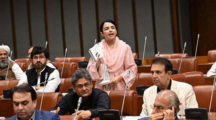 سینیٹ میں پی ٹی آئی سینیٹرز نے  عمران خان کی صحت گفتگو کیلئے وقت لیا، مشعال یوسفزئی نے کورم کی نشاندہی کردی، اجلاس ملتوی