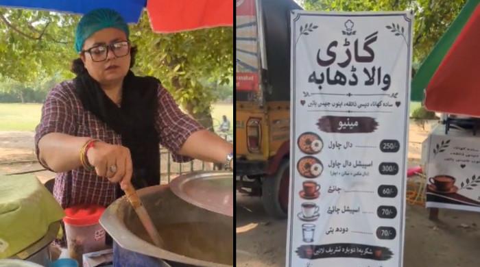 حبیب جالب کی صاحبزادی کے ریڑھی لگانے کا معاملہ، وائرل ویڈیو کے باوجود پنجاب حکومت خاموش