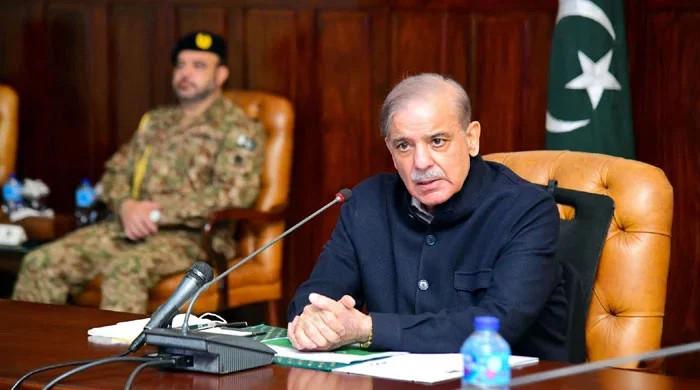 وزیراعظم کا ٹیکس چوری، اسمگلنگ اور غیر قانونی کاروبار کرنیوالوں کیخلاف مؤثر کارروائی کا حکم 