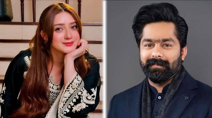 مومنہ اقبال کو ہراساں کرنے کا کیس: ثاقب چدھڑ اور اہلیہ سے متعلق رپورٹ پیش 