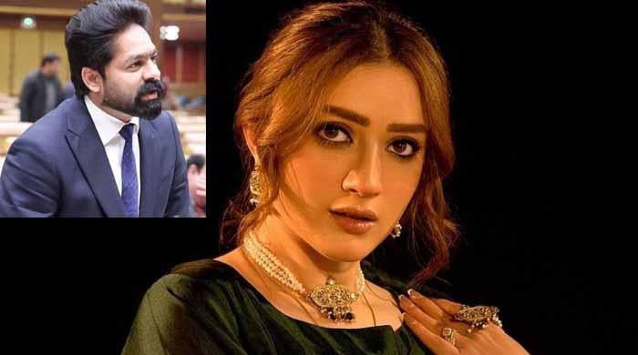 ہراسانی کا معاملہ: اس کیس کو ایسے نہیں چھوڑوں گی، مومنہ اقبال