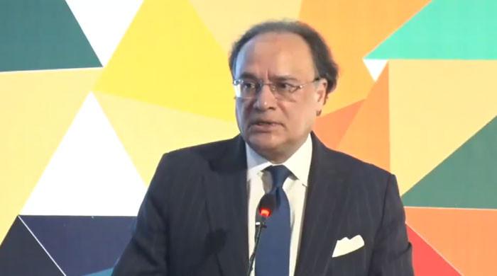 مشکل فیصلوں سے استحکام حاصل ہوا، پاکستان کو دوبارہ عروج و زوال کے معاشی چکر میں نہیں جانے دیں گے، وزیرخزانہ