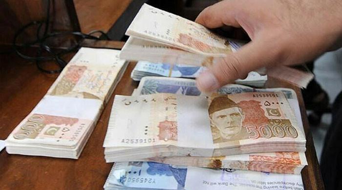وفاقی حکومت نے 11 ماہ میں آئی پی پیز کو 29 کھرب 35 ارب روپے ادا کیے