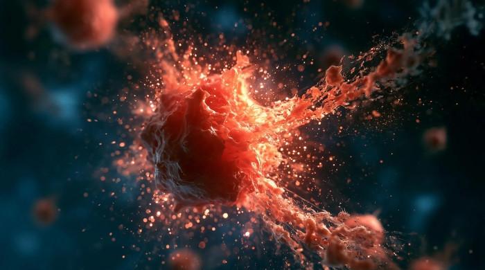 2050 تک کینسر کے نئے کیسز کی تعداد میں 67 فیصد اضافے کا امکان ہے، رپورٹ