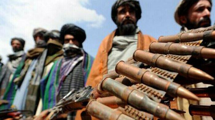 القاعدہ افغانستان سے پاکستان میں دہشتگردی کیلئے بی ایل اے اور ٹی ٹی پی کو مدد فراہم کررہی ہے، اقوام متحدہ