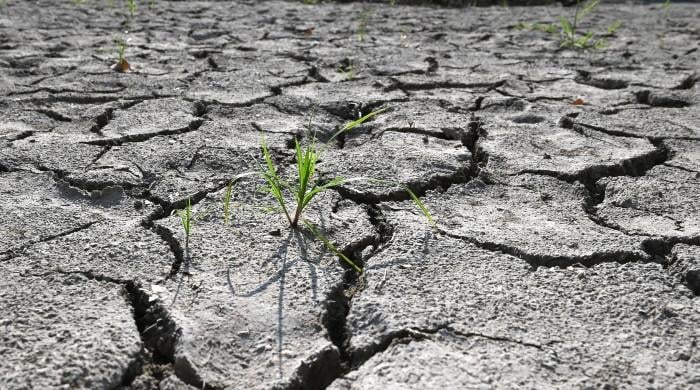 موسمیاتی تبدیلیوں کا اثر، اگست 2026 انسانی تاریخ کا گرم ترین مہینہ قرار