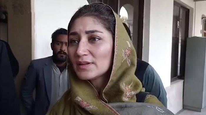 مریم نواز پر تنقید، پی ٹی آئی رہنما مہربانو قریشی کی شفیع جان کے بیان کی مذمت