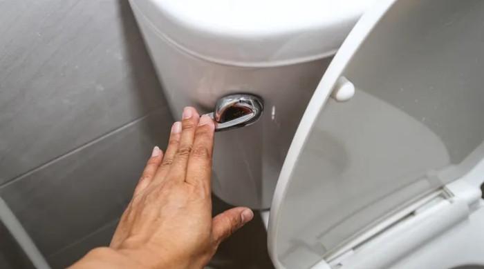 ٹوائلٹ فلش کرنے کا یہ اثر جانتے ہیں؟