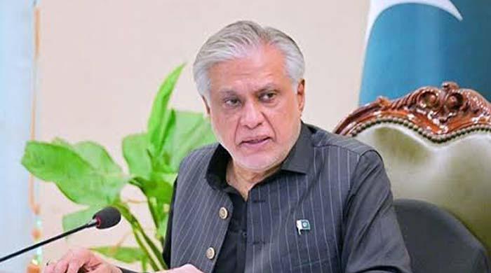 مصنوعی ذہانت کو ہتھیاروں کی دوڑ کا ایک اور میدان بننے سے روکنا ہوگا: اسحاق ڈار