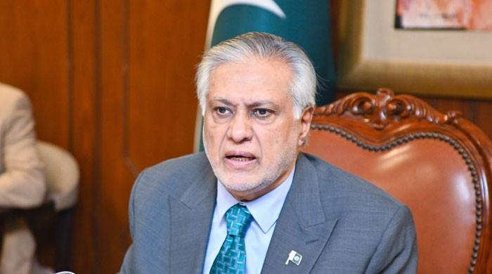 افغانستان سے دہشتگردی کے خاتمے تک خطے میں امن و ترقی ممکن نہیں، اسحاق ڈار