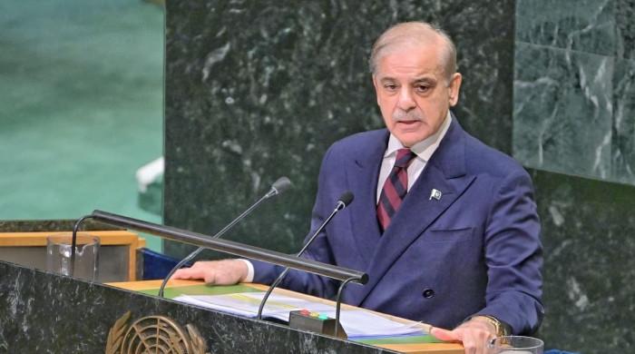 یو این میں وزیراعظم کے فلسطین سے متعلق الفاظ کو فلسطینی مشن نے سوشل میڈیا پر نمایاں کردیا