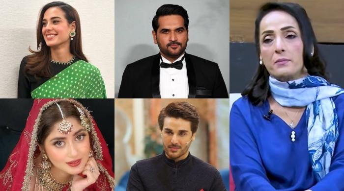 اداکاروں کو ڈراموں میں کام کرنے کا کتنا معاوضہ ملتا ہے؟ فرح نادر نے بتا دیا