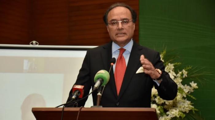 رواں مالی سال شرح نمو 4 فیصد یا اس سے زائد رہنے کی امید ہے: وزیر خزانہ