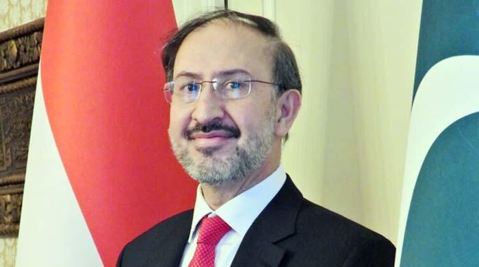 سید حیدر شاہ کو اقوام متحدہ میں پاکستان کا مستقل مندوب مقرر کرنے کا فیصلہ
